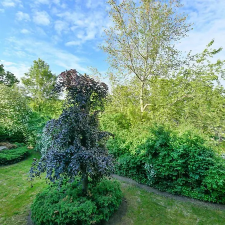 Апартаменты Residenz Waldschloesschen 7